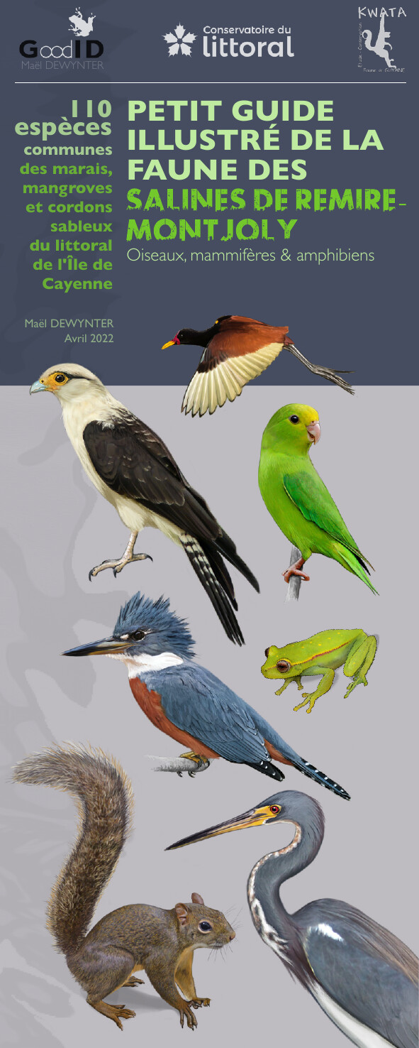 Petit guide illustré de la faune des Salines de Rémire-Montjoly