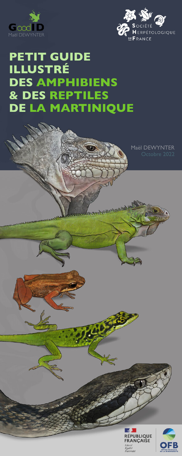 Petit guide illustré des Amphibiens & Reptiles de la Martinique