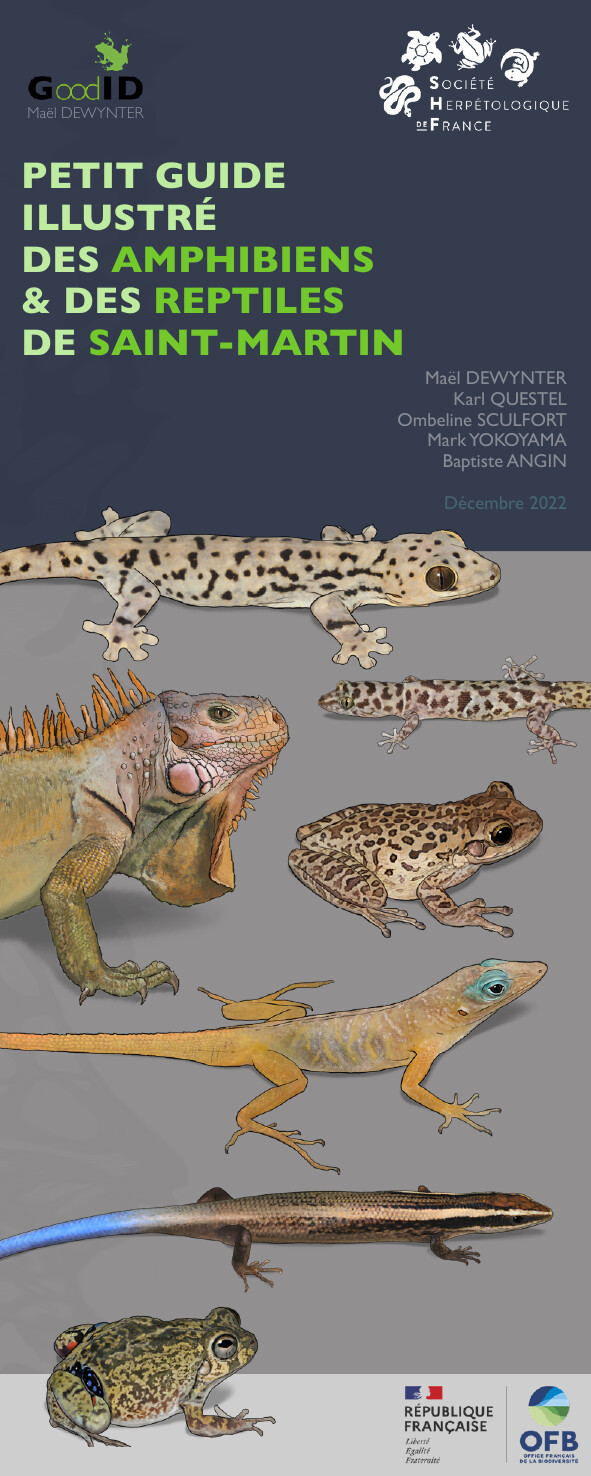 Petit guide illustré des Amphibiens & Reptiles de Saint-Martin