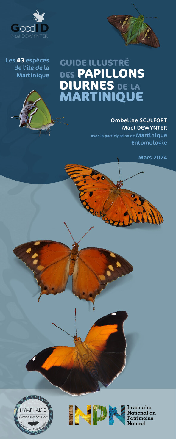 Guide illustré des papillons diurnes de la Martinique