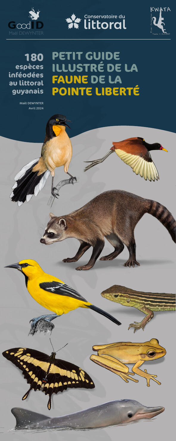 Petit guide illustré de la faune de la Pointe Liberté