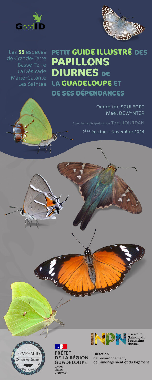Petit guide illustré des papillons diurnes de la Guadeloupe