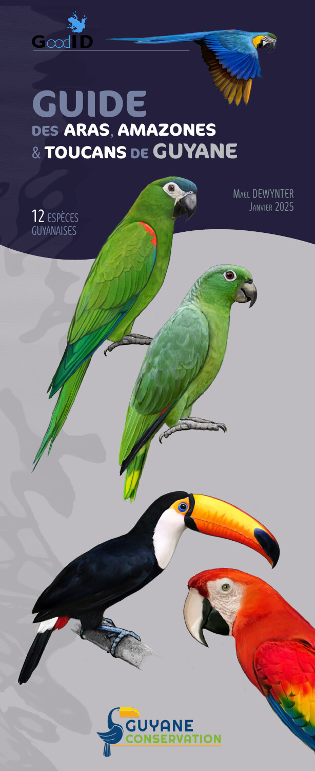 Guide des aras, amazones & toucans de Guyane