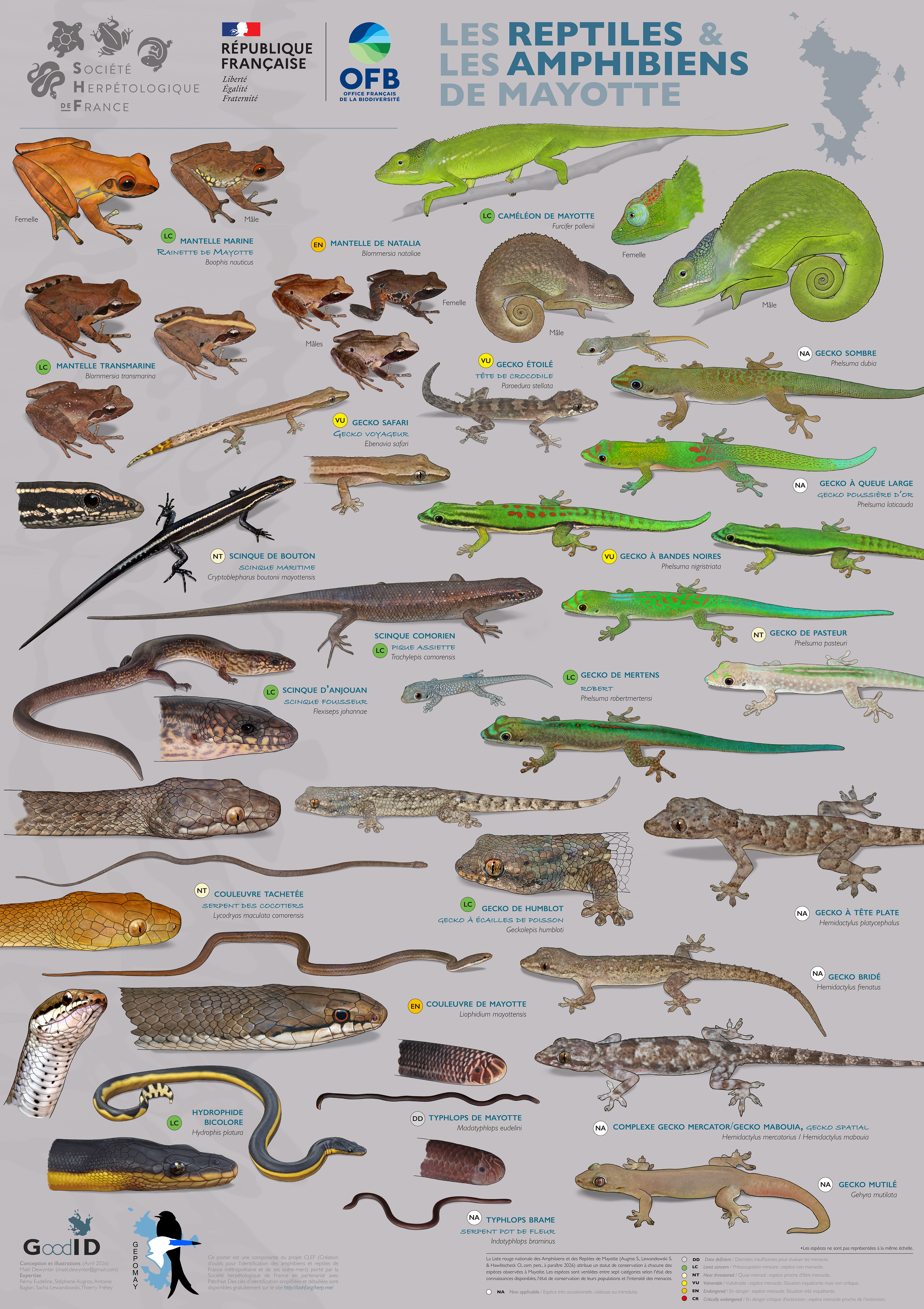 Les Reptiles & les Amphibiens de Mayotte