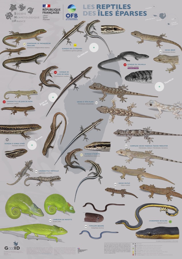 Les Reptiles des Îles Éparses
